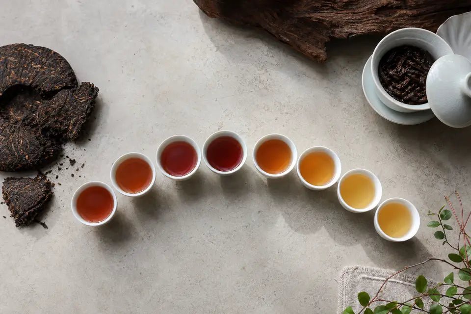 Why Pu-erh Changes Across Multiple Infusions - Real Puerh Tea
